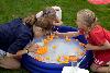 _MG_0776.jpg