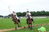 _MG_1477.jpg